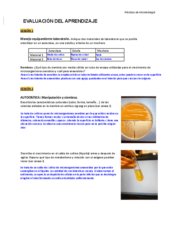 Miniatura del documento GUION-MICRO.pdf