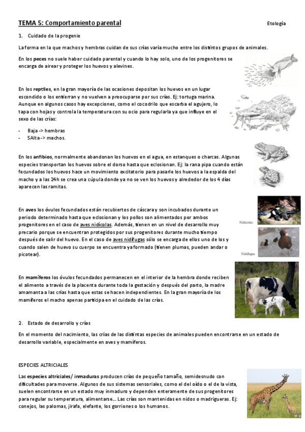 Miniatura del documento Tema-5.-etologia.pdf