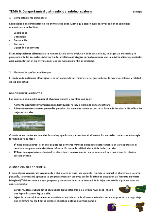 Miniatura del documento TEMA-6.-etologia.pdf