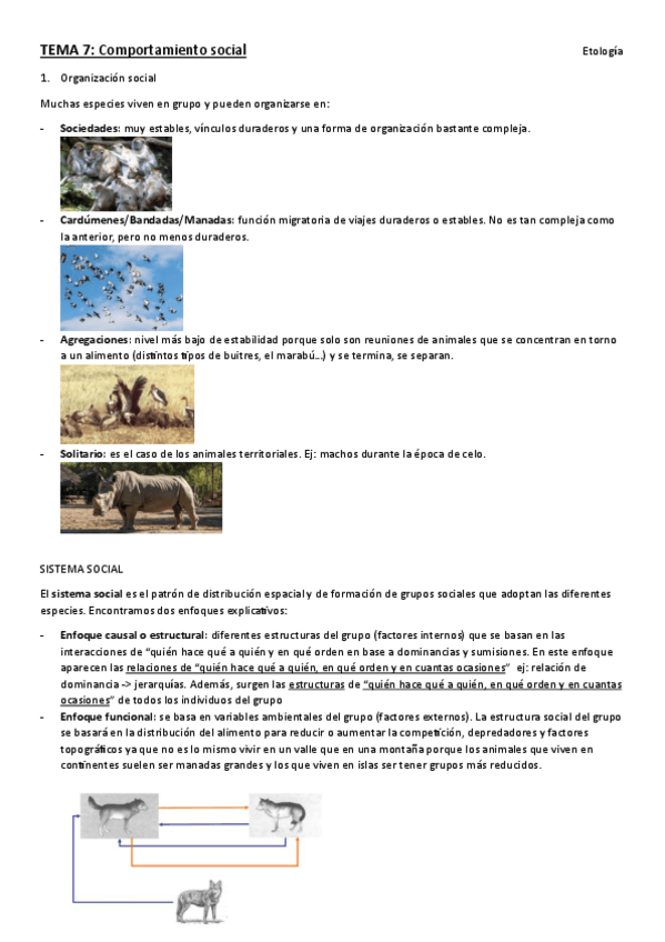 Miniatura del documento TEMA-7.-etologia.pdf