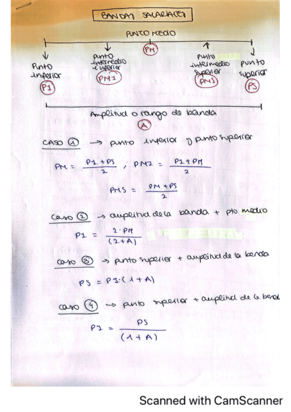 Miniatura del documento Practica-Bandas-Salariales.pdf
