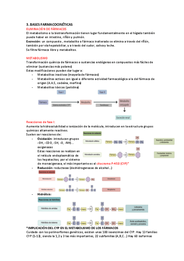 Miniatura del documento 3.-Metabolismo-y-excrecion.pdf