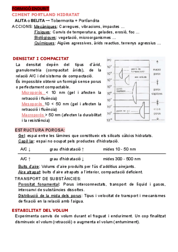 Miniatura del documento formigo-endurit.pdf