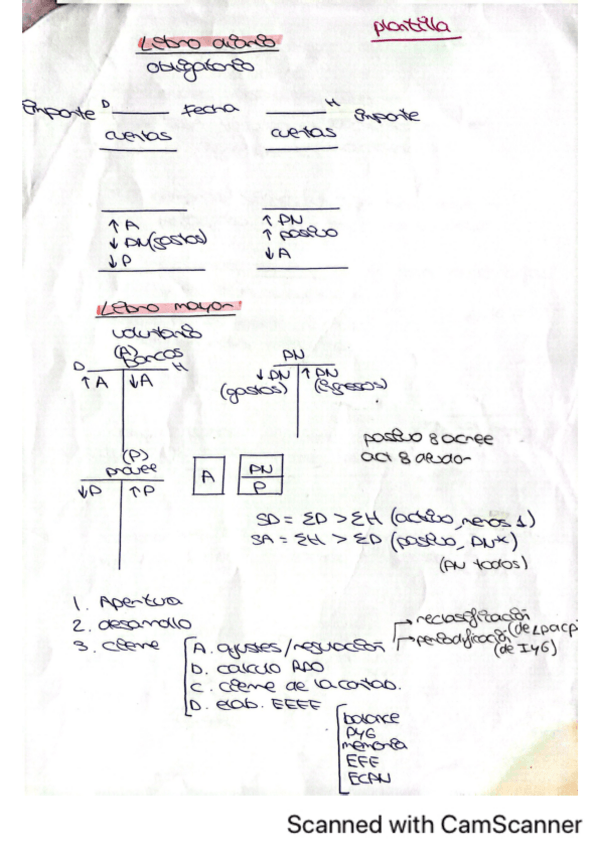 Miniatura del documento apuntes-libro-diario-y-mayor.pdf
