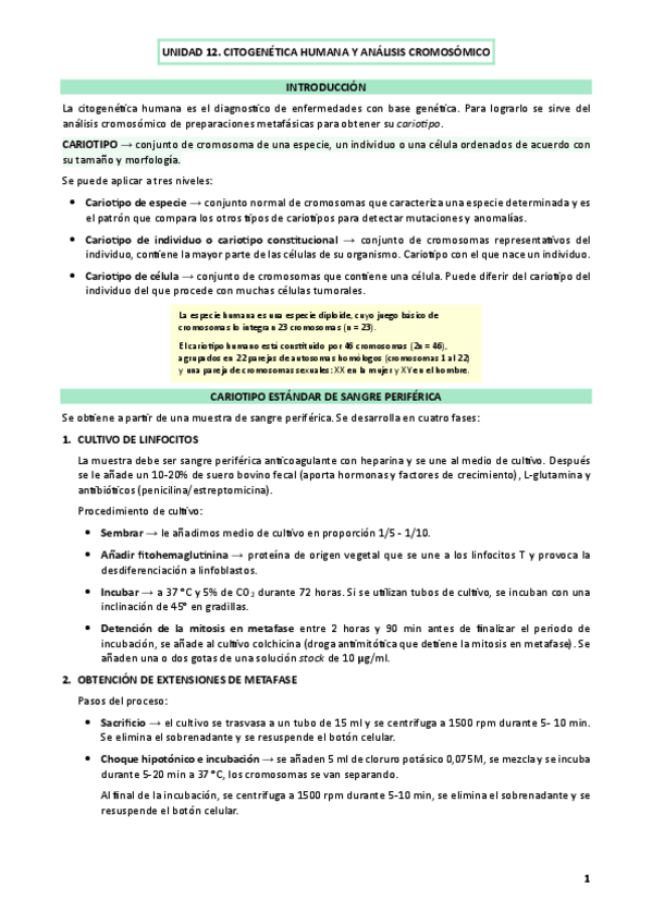 Miniatura del documento UNIDAD-12.-CITOGENETICA-HUMANA-Y-ANALISIS-CROMOSOMICO.pdf