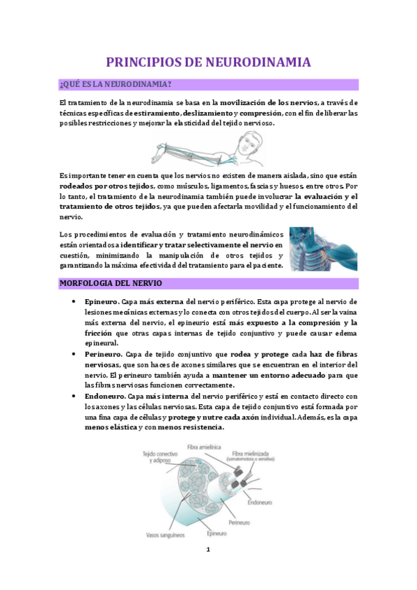 Miniatura del documento PRINCIPIOS-DE-NEURODINAMIA.pdf