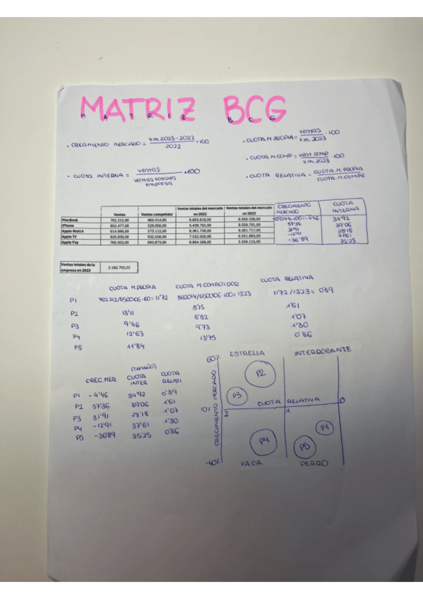 Miniatura del documento MATRIZ-BCG.pdf