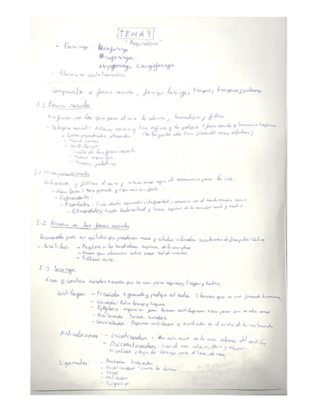 Miniatura del documento tema-4.pdf