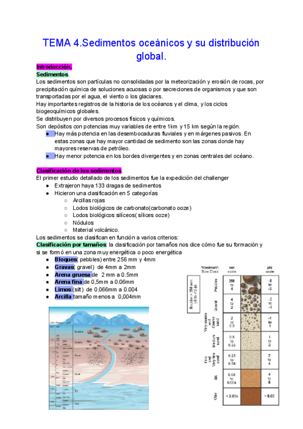 Miniatura del documento TEMA-4.Sedimentos-oceanicos-y-su-distribucion-global..pdf