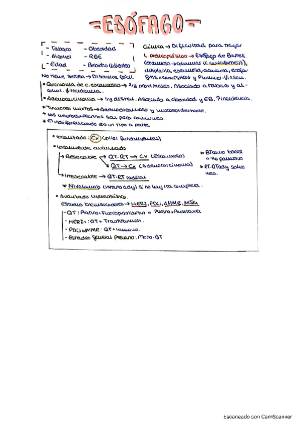 Miniatura del documento 6.1-TUMORES-DIGESTIVOS-ALTOS-Esofago-estomago-y-pancreas.pdf