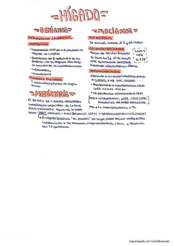 Miniatura del documento 6.2-TUMORES-HEPATICOS.pdf