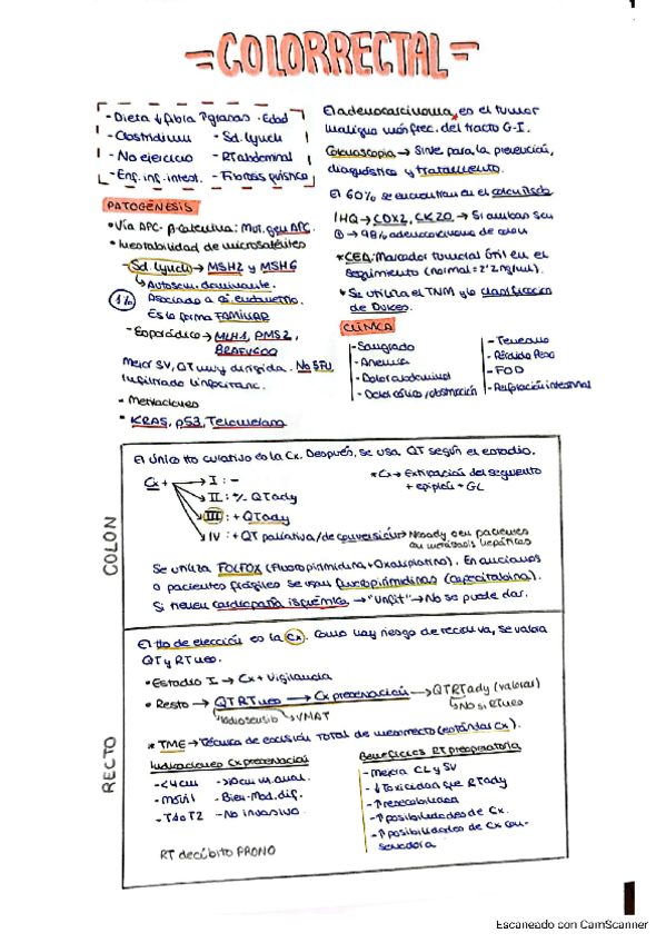 Miniatura del documento 6.3-TUMORES-DIGESTIVOS-BAJOS-Colon-recto-y-canal-anal.pdf