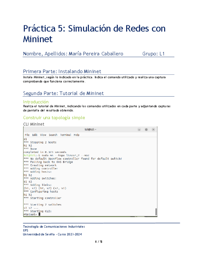 Miniatura del documento MemoriaP5marpercab7.pdf