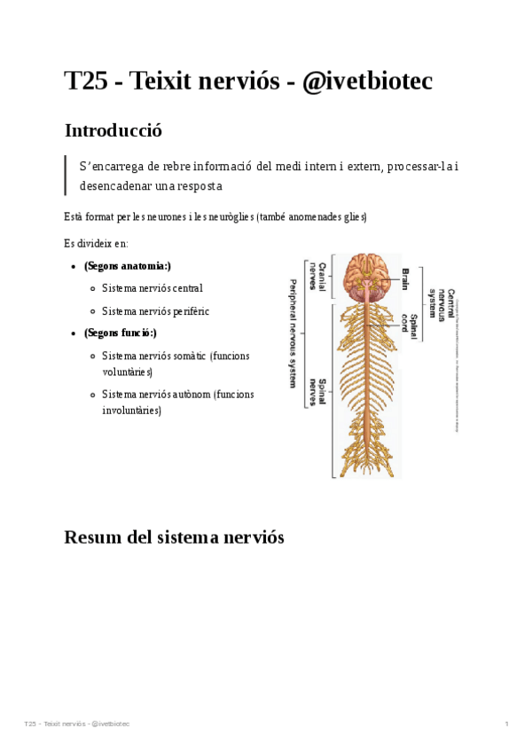 Miniatura del documento T25-Teixit-nervios.pdf