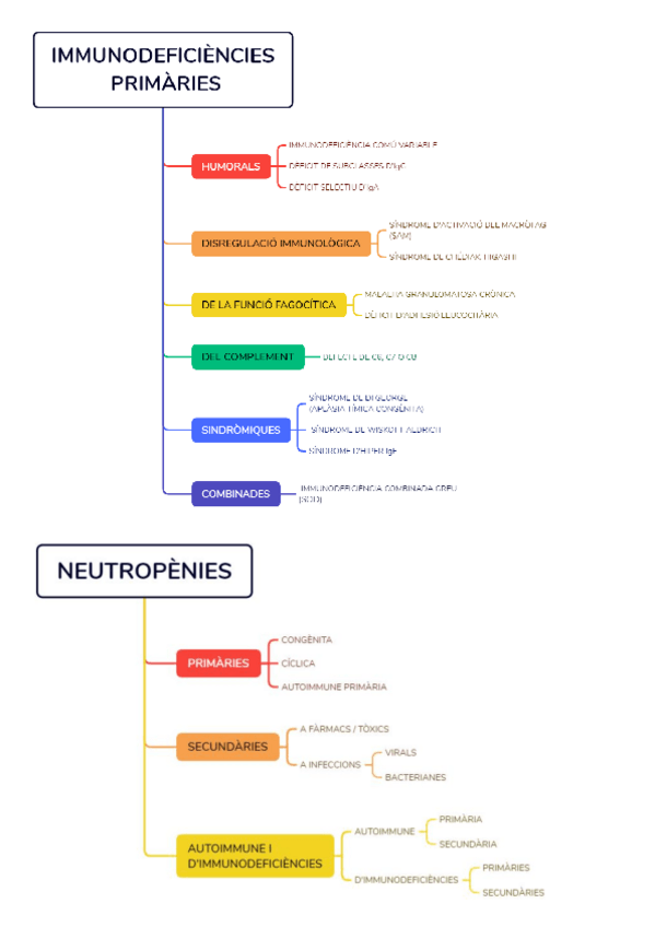 Miniatura del documento IMMUNO.pdf