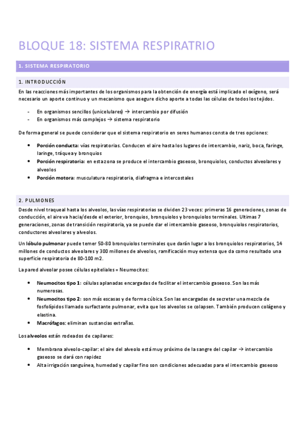 Miniatura del documento TEMA-18-SISTEMA-RESPIRATORIO.pdf