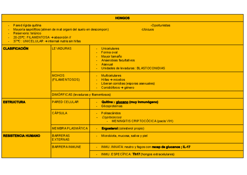 Miniatura del documento PROTOZOOS-HONGOS-Y-HELMINTOS-2023-24.pdf