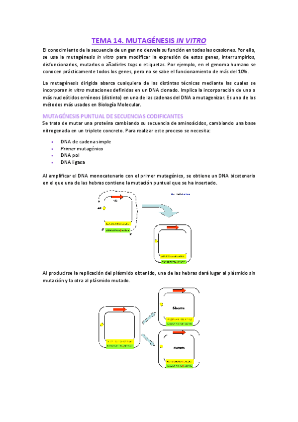 Miniatura del documento segundo-parcial.pdf