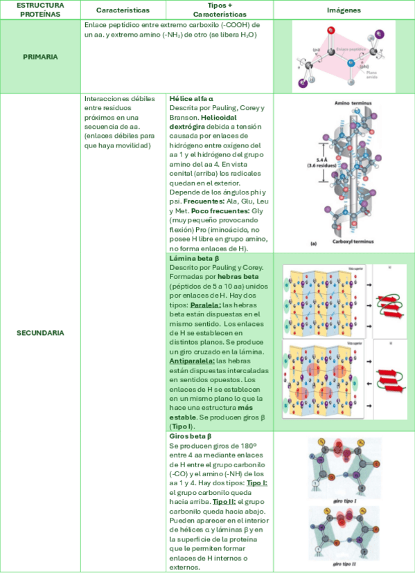Miniatura del documento T6-PROTEINAS-BIOQUIMICA.pdf