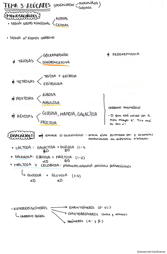 Miniatura del documento Esquema-y-Ciclaciones-T3.pdf