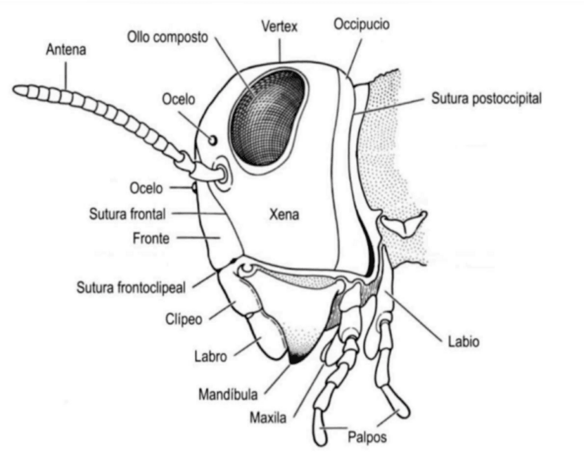 Miniatura del documento Fotos-practicas-martinsouto.pdf
