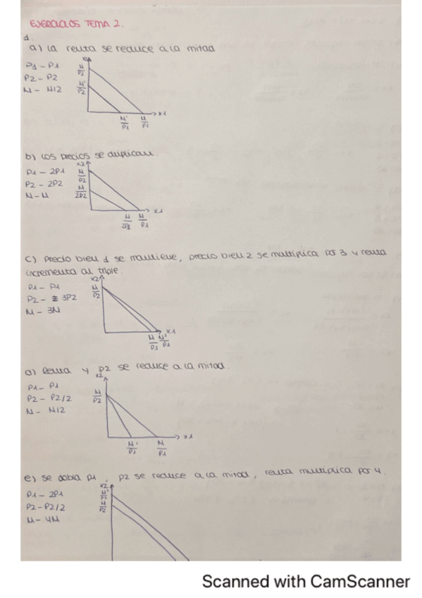 Miniatura del documento RELACION-TEMA-2.pdf