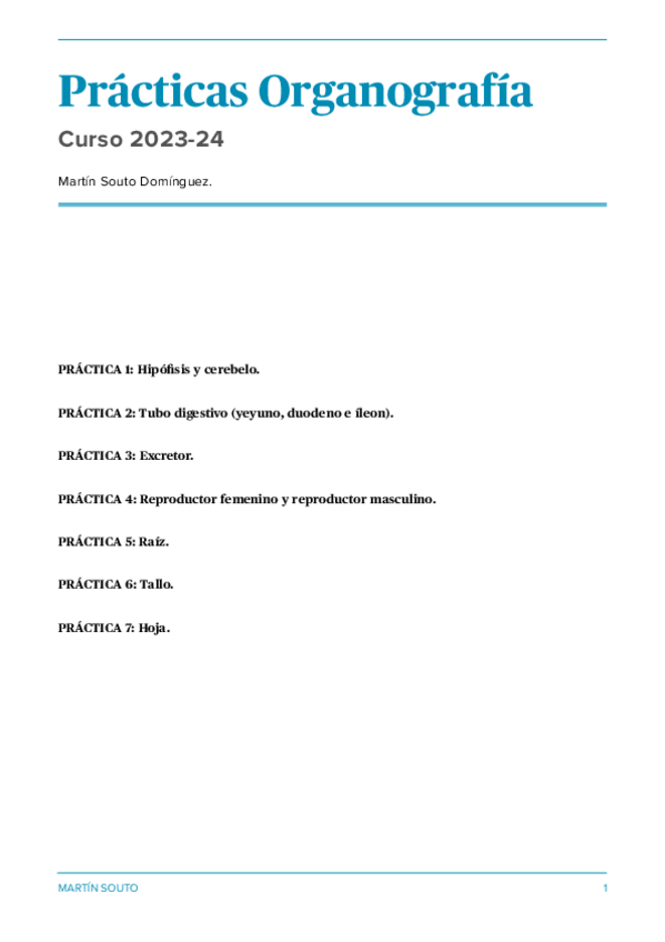 Miniatura del documento Practicas-organo-martinsouto.pdf