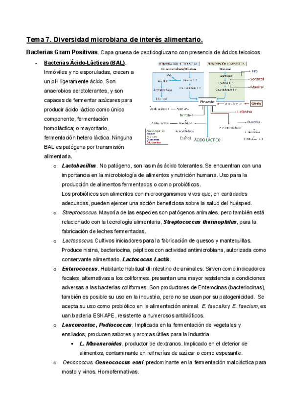 Miniatura del documento Tema-7.pdf