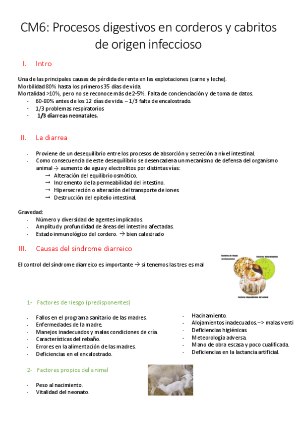 Miniatura del documento NEONAT-1-Procesos-digestivos-en-corderos-y-cabritos-de-origen-infeccioso.pdf