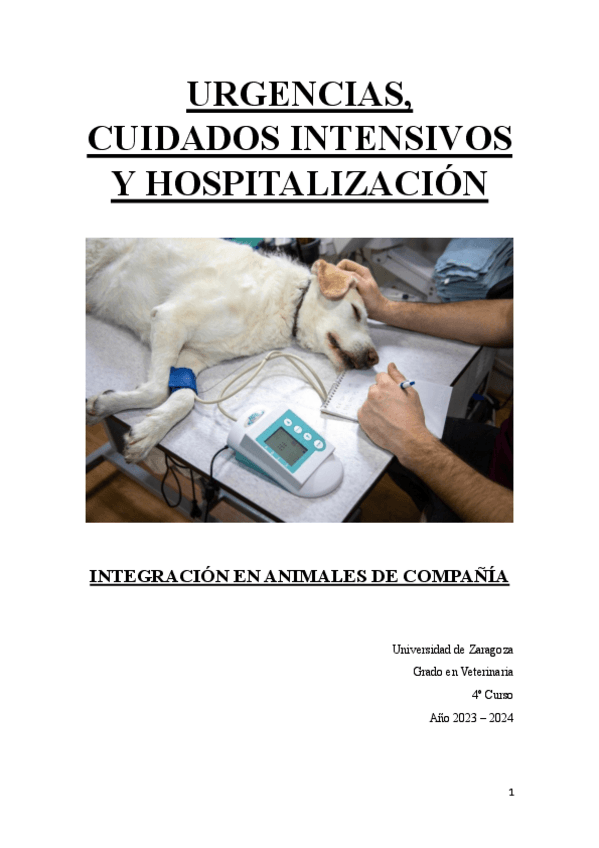 Miniatura del documento Urgencias-Cuidados-Intensivos-y-Hospitalizacion.pdf