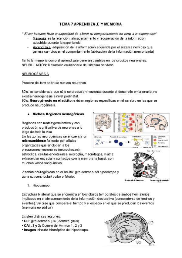 Miniatura del documento psicofisio-tema-7.pdf