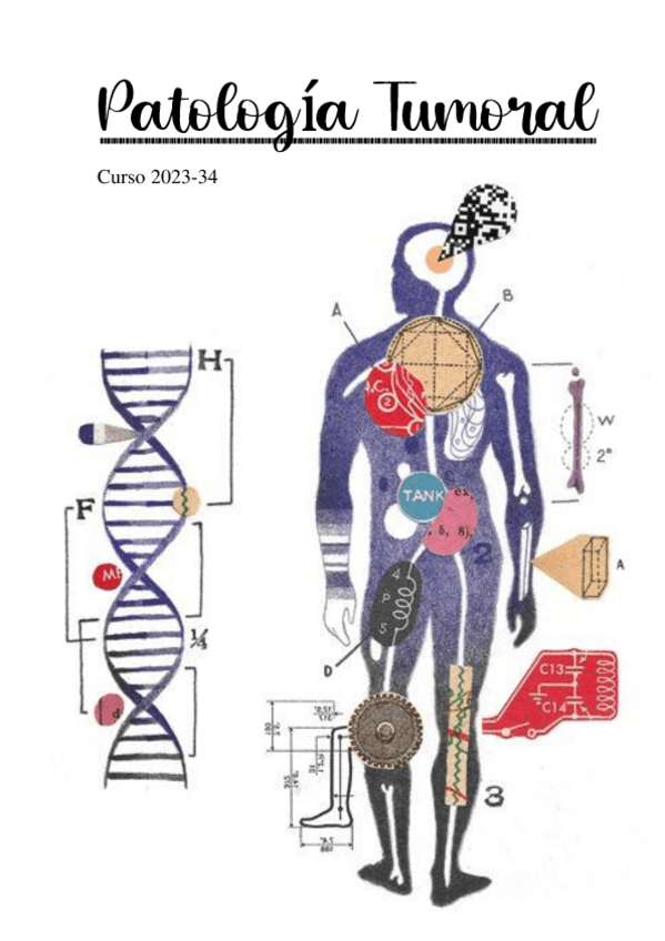 Miniatura del documento Apuntes-Patologia-Tumoral-2023-24 PARTE 1.pdf