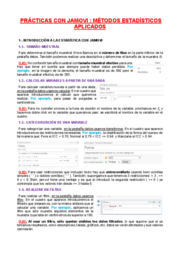 Miniatura del documento APUNTES-DE-PRACTICAS.pdf