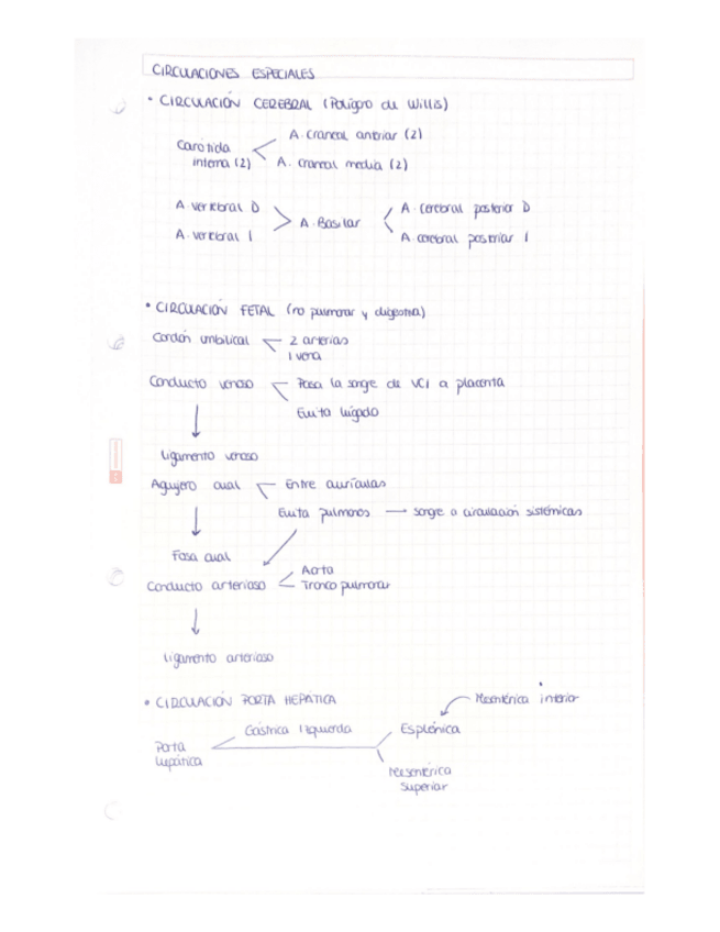 Miniatura del documento ESQUEMA-CIRCULACIONES-ESPECIALES.pdf