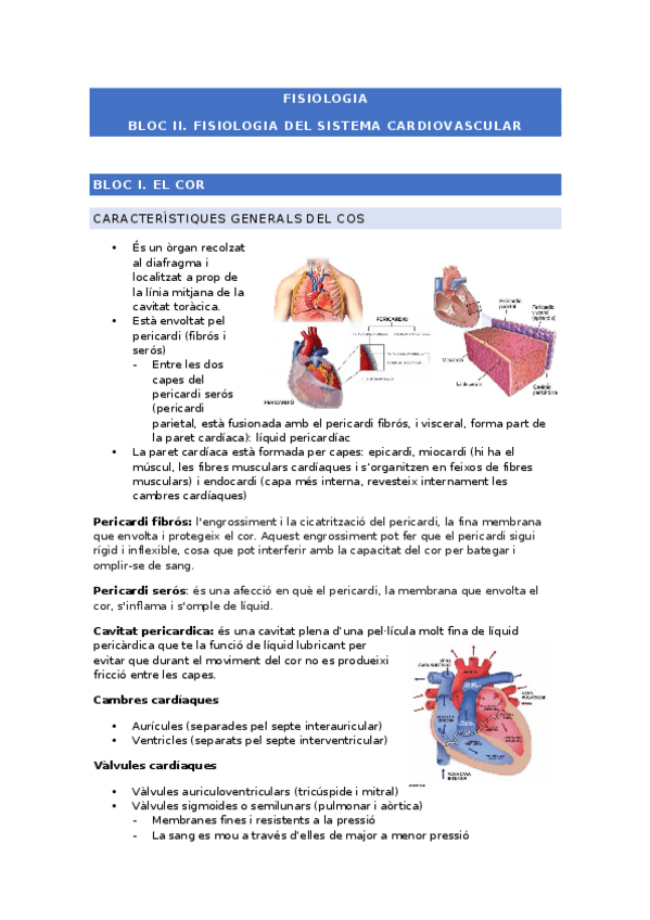 Miniatura del documento fisiologia.-bloc-ii.docx