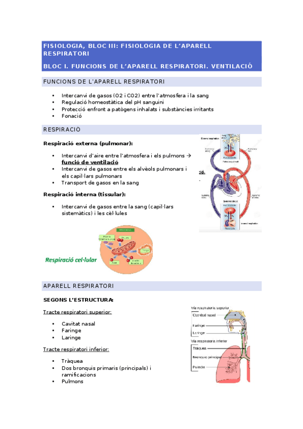 Miniatura del documento FISIOLOGIA.-BLOC-III.docx