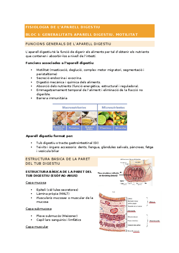 Miniatura del documento FISIOLOGIA.-BLOC-IV.docx