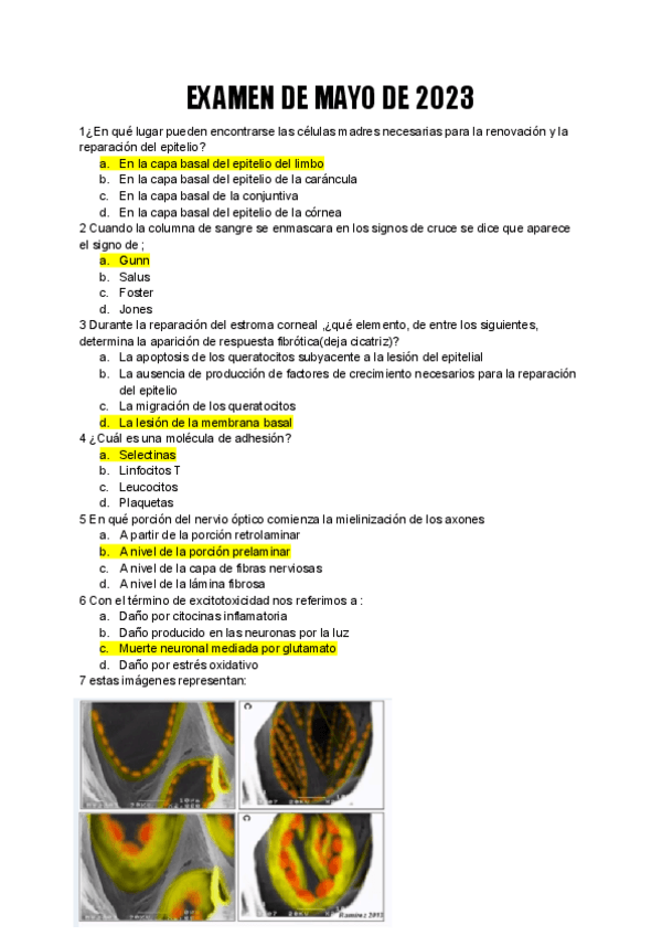 Miniatura del documento EXAMEN-RESUELTO.pdf