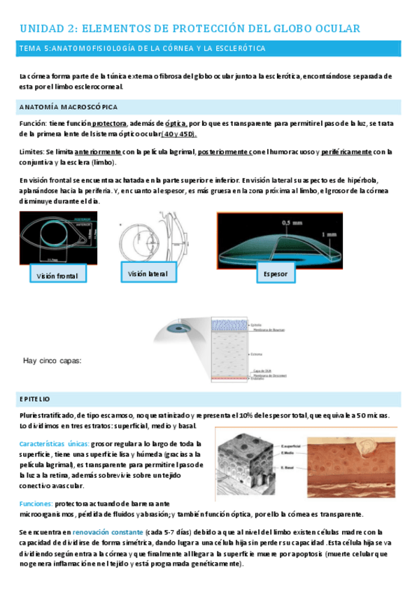 Miniatura del documento TEMAS-5-8.pdf