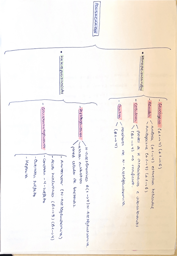 Miniatura del documento Polisacaridos.pdf