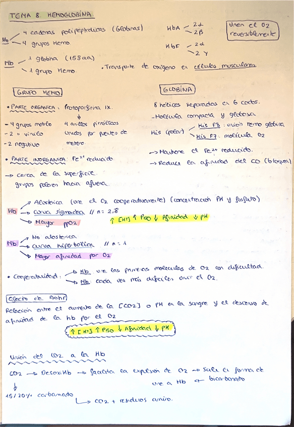 Miniatura del documento Hemoglobina.pdf