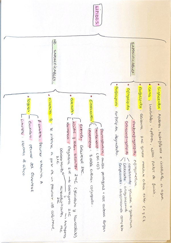 Miniatura del documento Lipidos.pdf