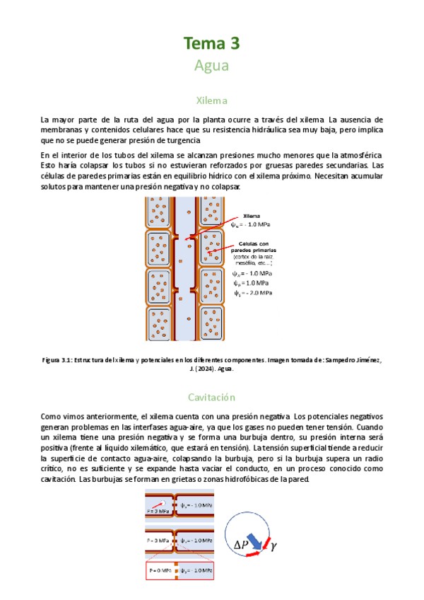 Miniatura del documento Tema-3-Agua.pdf