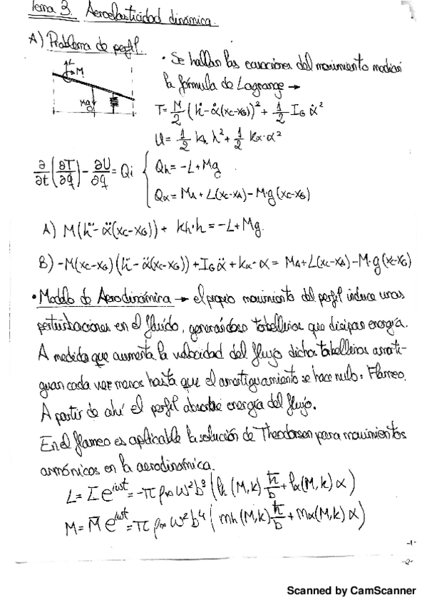 Miniatura del documento Flameo.pdf