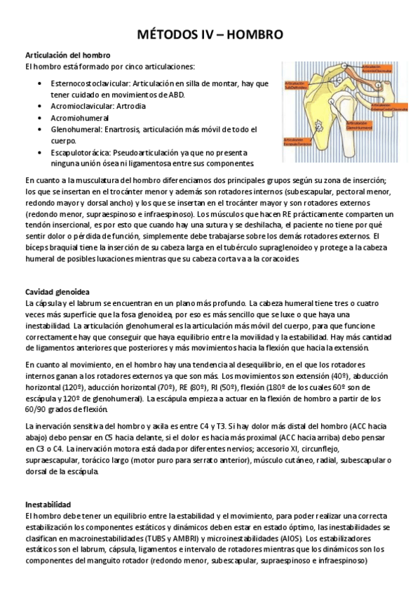 Miniatura del documento Hombro-Metodos-IV.pdf