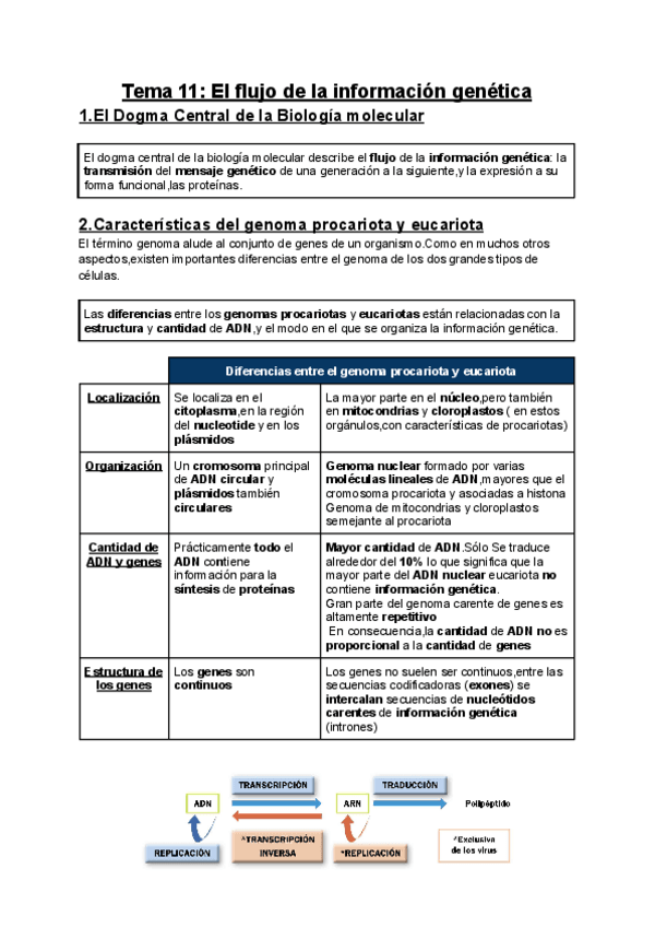 Miniatura del documento Tema-11-El-flujo-de-la-informacion-genetica.pdf