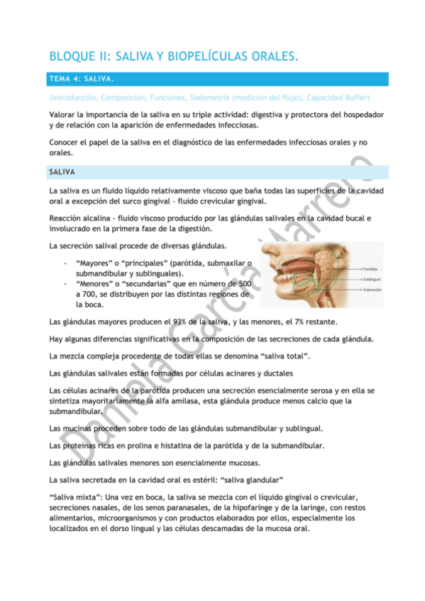 Miniatura del documento tema-4.pdf