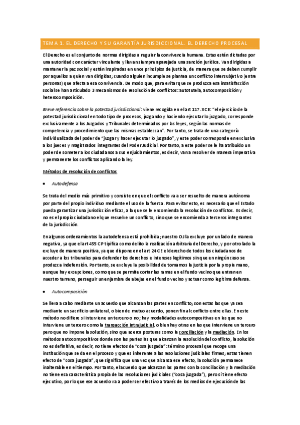 Miniatura del documento Temario-completo.pdf