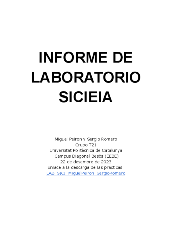 Miniatura del documento InformeLaboratorioMiguelPeironSergioRomeroT21.docx.pdf