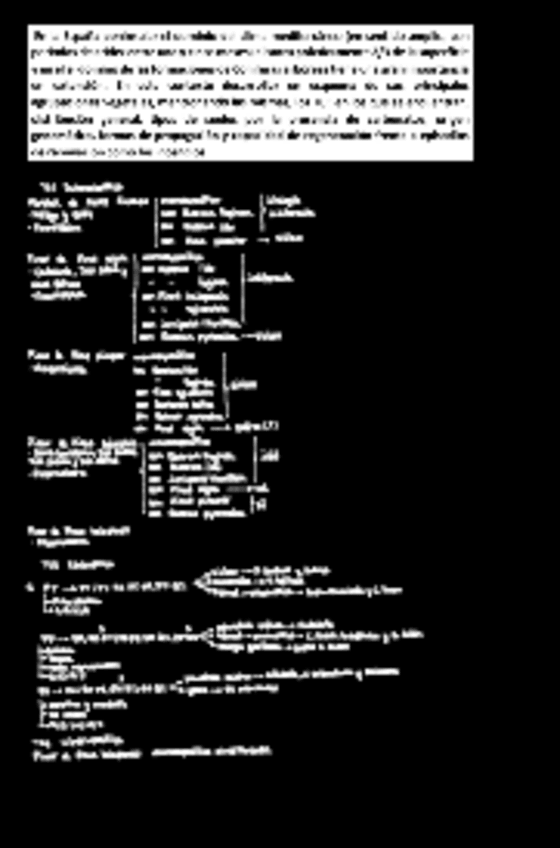 Miniatura del documento pregunta-coniferas-mediterraneo resuelta.pdf